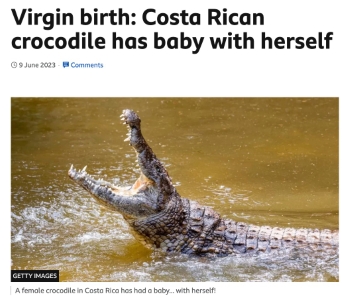 Girlboss Crocodile